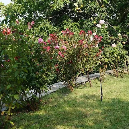 Katia With Sea View, Pourion, Zagora *