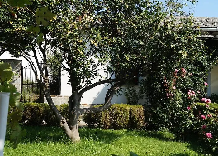 Katia With Sea View, Pourion, Zagora * Pouríon